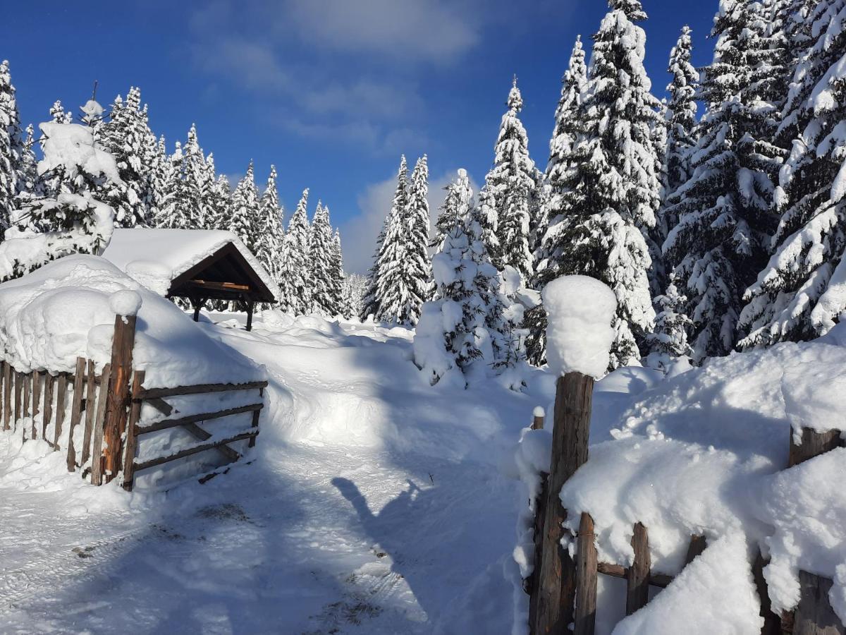 Vila Jelena Jahorina Eksteriør bilde