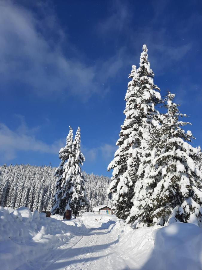 Vila Jelena Jahorina Eksteriør bilde